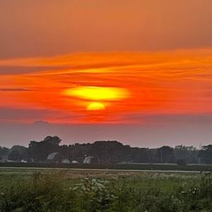 Meet your Posher, Sean